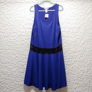 Royal blue textured dress with lace waist